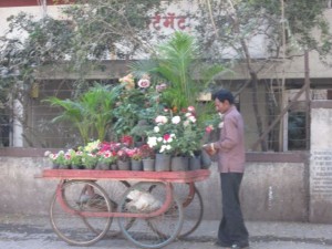 Flower vendor